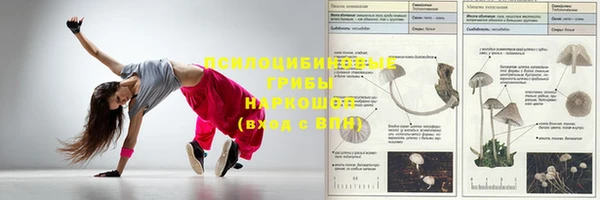 спайс Алексин