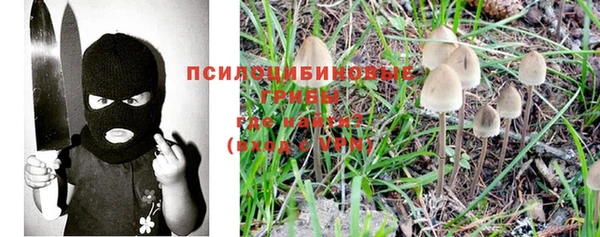 прущая мука Алзамай