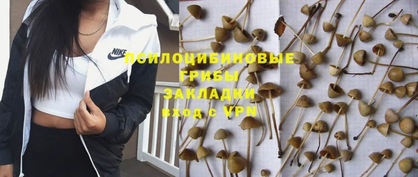 первитин Абинск